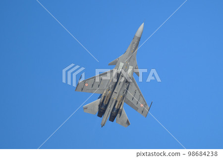 印度空軍蘇霍伊 Su-30MKI 升起 98684238