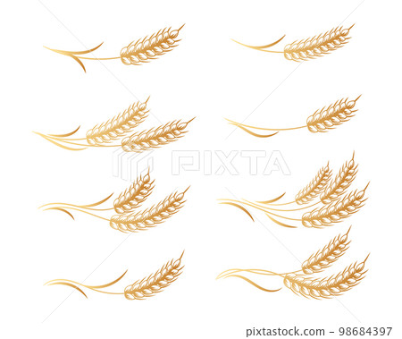 Set of logos from spikelets of wheat, rye, barley, golden design. Decor elements, icons, vector 98684397