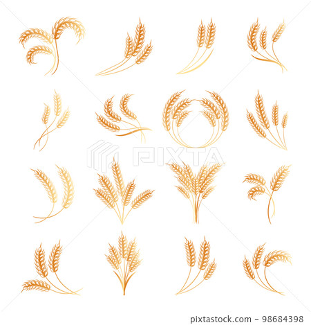 Set of logos from spikelets of wheat, rye, barley, golden design. Decor elements, icons, vector 98684398