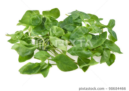 watercress leaf isolated on white background 98684466