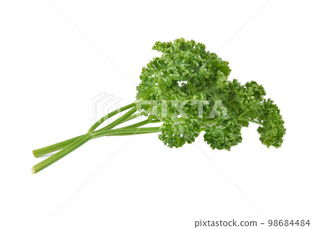 green leaves of parsley isolated on white background green leaves of parsley isolated on white background 98684484