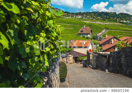 Swiss village street view with green vineyards in the gardens 98685198