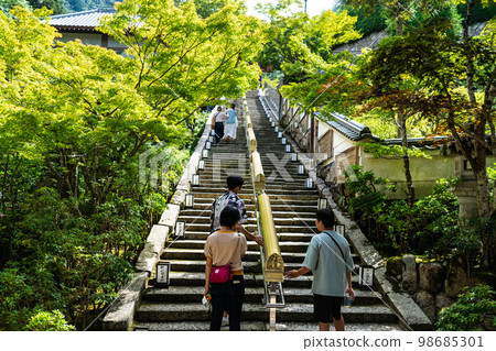 [The Thirty-Three Kannon Pilgrimage Sites of China] No. 14 [Important Preservation District for Groups of Traditional Buildings] Miyajima Town, Daishoin Temple, Stone steps leading to the temple surrounded by greenery, Hatsukaichi City, Hiroshima Prefecture 98685301