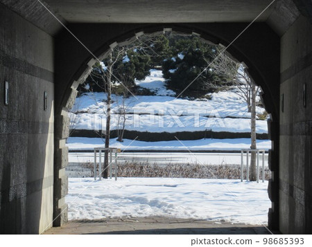 從隧道看雪 98685393