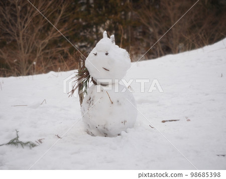 雪人甲 98685398