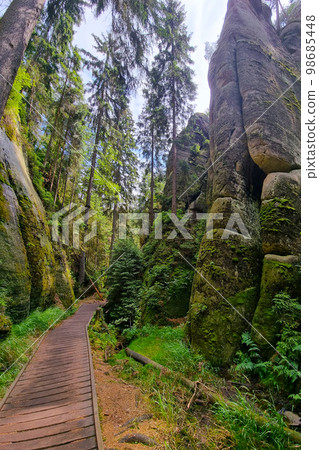 Pedestrian wooden trail in the forest and mountains. Pedestrian wooden trail in the forest and mountains. 98685448