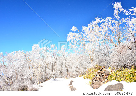 Mt. Akagi in Gunma prefecture in winter with beautiful hoarfrost 98685478