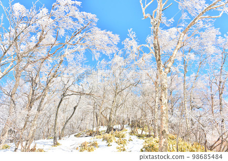 Mt. Akagi in Gunma prefecture in winter with beautiful hoarfrost 98685484