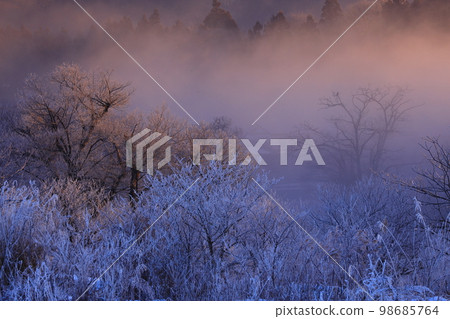 sunrise winter scenery sunrise winter scenery 98685764