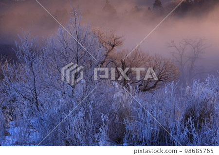 日出冬季風光 日出冬季風光 98685765