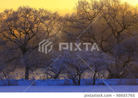 日出冬季風光 98685768