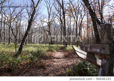 Oku-Nikko, Tochigi Prefecture Mt. Nantai looking back from the junction of the promenade from Akanuma to Odashirogahara October 31, 2022 98686185
