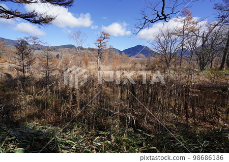 Okunikko Senjogahara Senjogahara Observation Deck on the way from Akanuma to Odashirogahara October 31, 2022 98686186