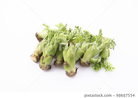Cod sprouts white background Cod sprouts white background 98687554