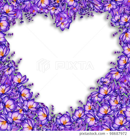 Lavanda And Crocus Heart Frame. Valentine's Day and Wedding Concept Illustration Lavanda And Crocus Heart Frame. Valentine's Day and Wedding Concept Illustration 98687972