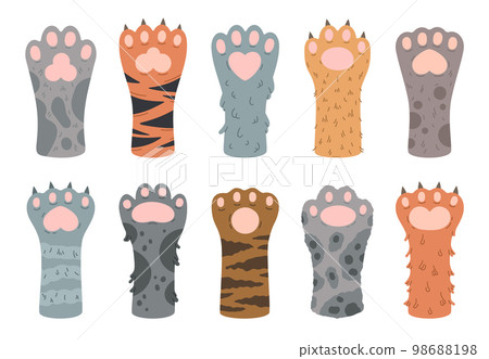 Cartoon cats paws. Cute cat fluffy paw, striped and spotted domestic animals feet. Clawed cat paws flat vector illustration set isolated on white background 98688198