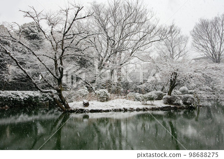 有棲川公園的雪景 有棲川公園的雪景 98688275