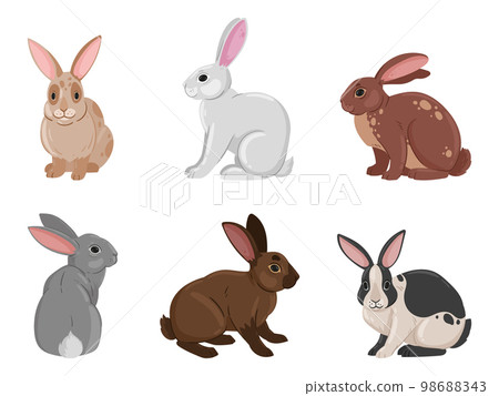 Cartoon cute bunnies. Funny rabbits, spring eared hare animals, white and brown fluffy domestic bunnies flat vector illustration set on white background Cartoon cute bunnies. Funny rabbits, spring eared hare animals, white and brown fluffy domestic bunnies flat vector illustration set on white background 98688343