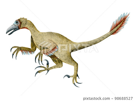 Running velociraptor watercolor illustration. Prehistirical dinosaur with feathers isolated on white background 98688527
