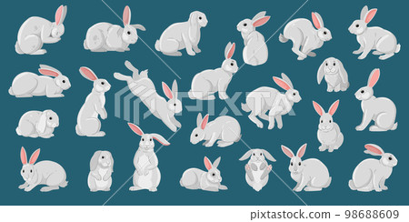 Cartoon white rabbits. Easter cute bunny, funny domestic white bunnies flat vector illustration set. Easter fluffy rabbits collection 98688609