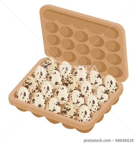 Cartoon quail eggs packaging. Eggs in cardboard box, grocery store quail eggs, organic healthy food flat vector illustration isolated on white background 98688826