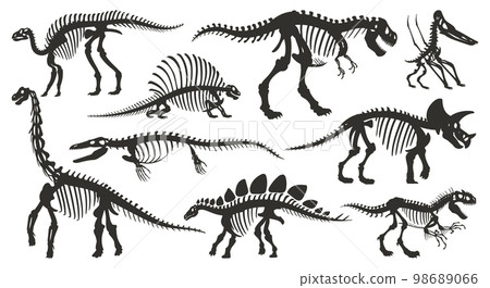Cartoon dino skeleton silhouettes. Ancient dinosaur fossil bones, jurassic tyrannosaurus, velociraptor, spinosaurus black silhouette flat vector illustration set on white background Cartoon dino skeleton silhouettes. Ancient dinosaur fossil bones, jurassic tyrannosaurus, velociraptor, spinosaurus black silhouette flat vector illustration set on white background 98689066