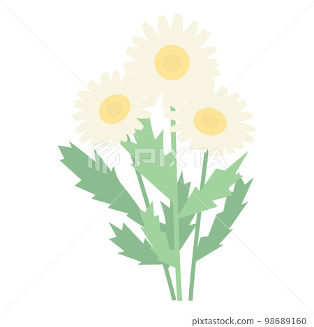 簡單北極的矢量圖解 98689160