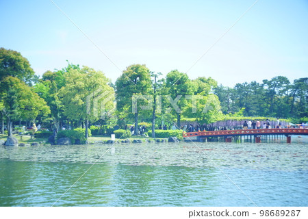 天王川公園荷花池 天王川公園荷花池 98689287