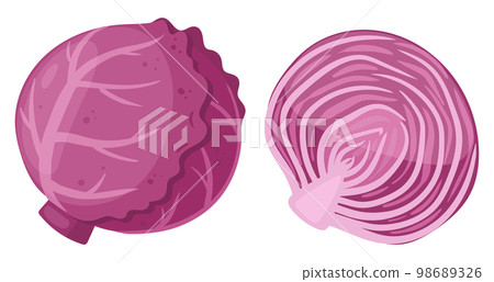 Cartoon red cabbage. Fresh vegetable, whole veggie and half, tasty vegetables for healthy lifestyle flat vector illustration on white background 98689326