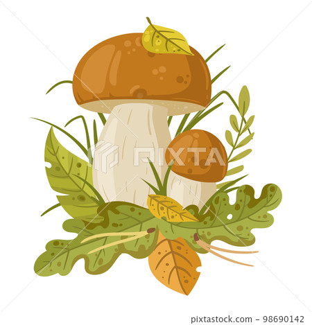 Cartoon mushroom, edible forest mushroom with foliage. Fall seasonal mushroom decorated with leaves and grass flat vector illustration. Autumn woodland plant Cartoon mushroom, edible forest mushroom with foliage. Fall seasonal mushroom decorated with leaves and grass flat vector illustration. Autumn woodland plant 98690142