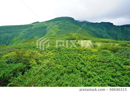 從屏風岩通往升寒別山山頂的山脊 從屏風岩通往升寒別山山頂的山脊 98690315