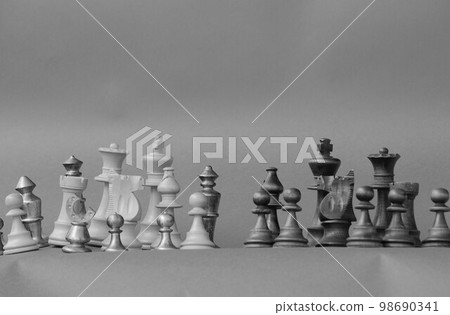 Chess hobby game Chess hobby game 98690341