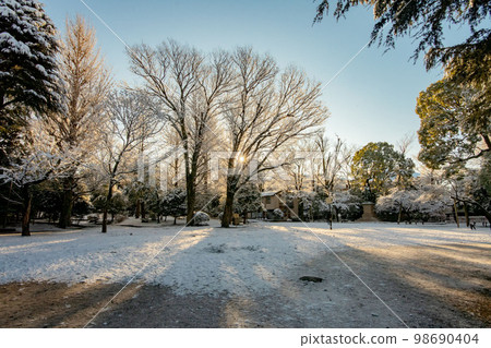Snow scene at Arisugawa Park, Minato Ward, Tokyo Snow scene at Arisugawa Park, Minato Ward, Tokyo 98690404