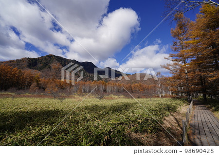 Okunikko Senjogahara Proceed in the direction of Yutaki on the promenade that runs along the east side of Odashirogahara October 31, 2022 Okunikko Senjogahara Proceed in the direction of Yutaki on the promenade that runs along the east side of Odashirogahara October 31, 2022 98690428