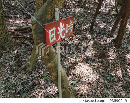 徒步穿越小野阿爾卑斯:從高山下山,到達日光嶺 徒步穿越小野阿爾卑斯:從高山下山,到達日光嶺 98690949