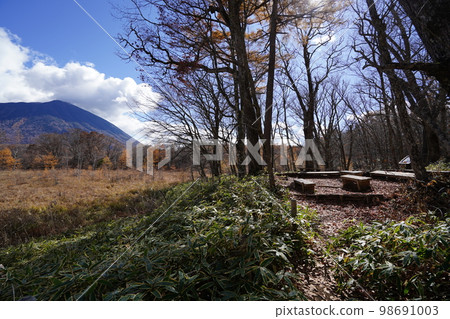 Oku-Nikko Senjogahara promenade, looking towards Mt. Nantai from a resting place slightly south of Senmon Pond, October 31, 2022 98691003