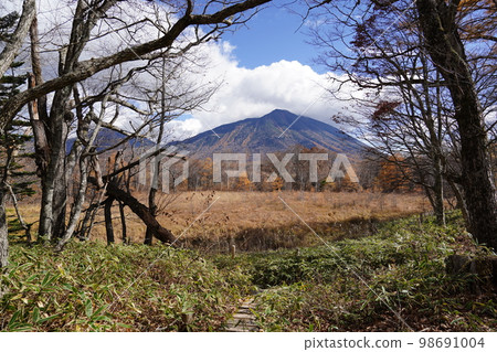 Oku-Nikko Senjogahara promenade, looking towards Mt. Nantai from a resting place slightly south of Senmon Pond, October 31, 2022 98691004