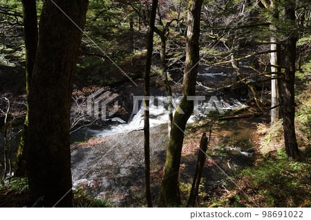 Okunikko Senjogahara Promenade Promenade from Fountain Pond to Kotaki Near Kotaki October 31, 2022 Okunikko Senjogahara Promenade Promenade from Fountain Pond to Kotaki Near Kotaki October 31, 2022 98691022