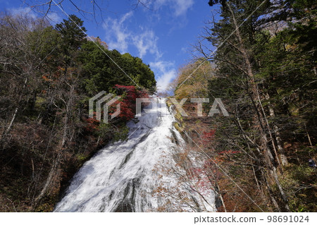 Okunikko Senjogahara Promenade Yutaki October 31, 2022 98691024