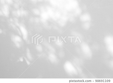 Abstract shadow of leaves on a white wall 98691109
