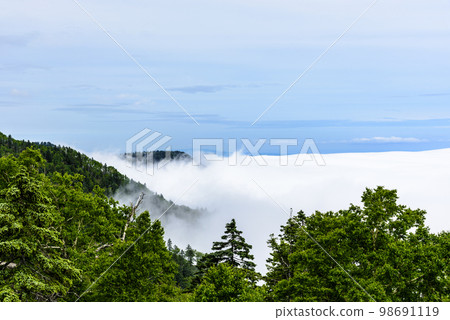 雲海北海道津別通行證 雲海北海道津別通行證 98691119