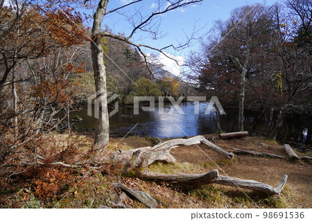 Oku-Nikko Senjogahara Promenade，Yutaki 瀑布附近的湯之湖，2022 年 10 月 31 日 98691536