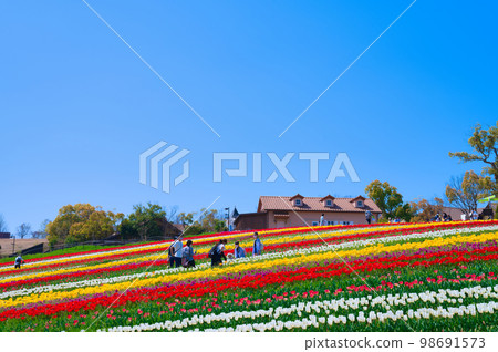 [Osaka Prefecture] April: Refreshing spring, clear blue sky, green Museum Harvest Hill full of blooming tulips 98691573
