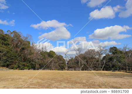 兜山森林公園/自由廣場 兜山森林公園/自由廣場 98691700