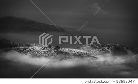 Morning view of the waking landscape Morning view of the waking landscape 98692347