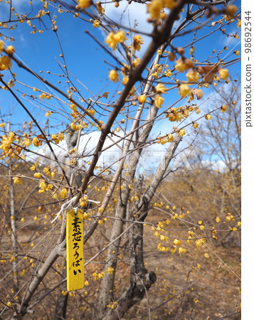 bare core disappointment 98692544