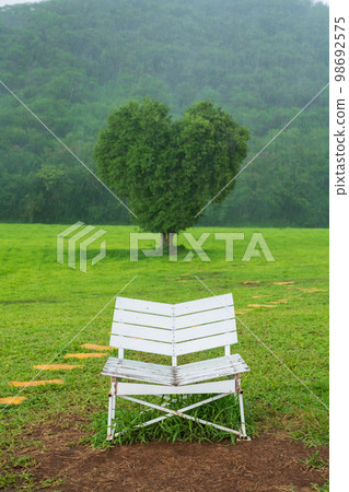 White chair and beautiful tree with heart shape and heavy raindrop White chair and beautiful tree with heart shape and heavy raindrop 98692575