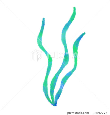 Sea creatures with a watercolor touch Wakame seaweed Sea creatures with a watercolor touch Wakame seaweed 98692773