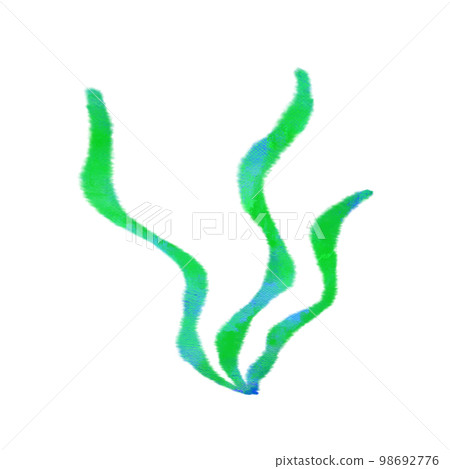 水彩畫的海洋生物裙帶菜海藻 水彩畫的海洋生物裙帶菜海藻 98692776