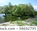summer landscape of the river bank with green trees, background, wallpaper 98692795